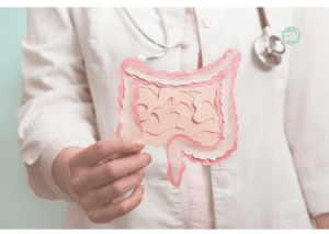 médecin montrant une image d'intestin grêle et de colon