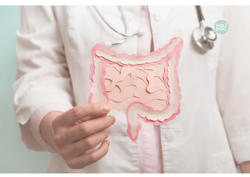 médecin montrant une image d'intestin grêle et de colon