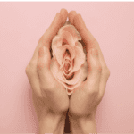 mains de femme tenant une fleur en guise d'appareil reproductif féminin