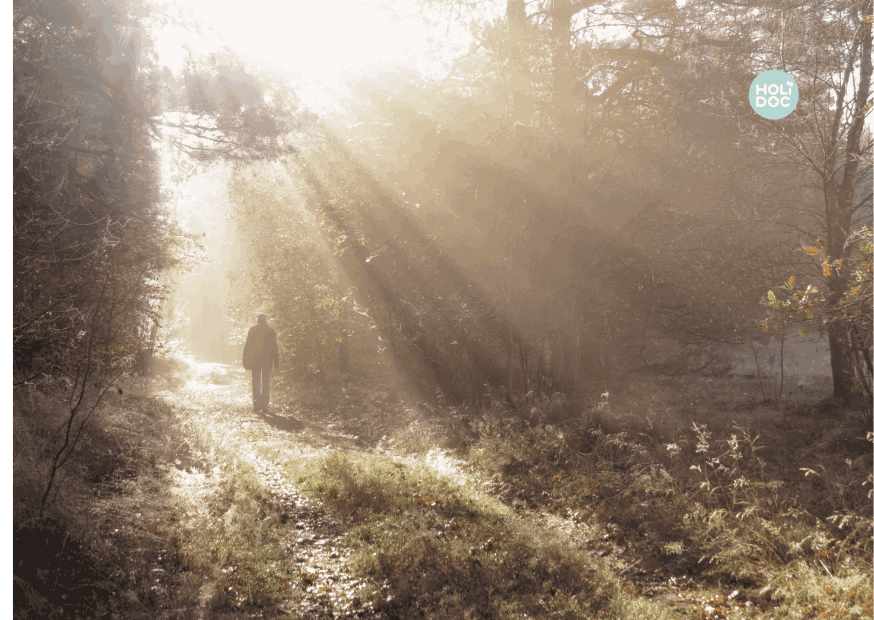 un homme de dos marche seul vers la lumière dans une forêt